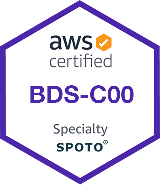 aws-certified-Specialty- BDS-C00